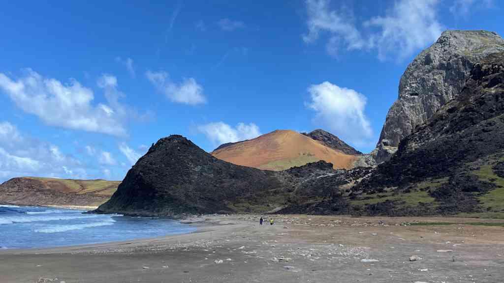 Plástico ameaça ninhos de tartaruga-verde, alerta estudo | Local em que tartarugas-verdes depositam os ovos são especialmente sensíveis ao acúmulo e sedimentação do plástico