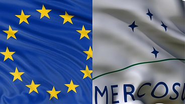 Acordo Mercosul e União Europeia: Impactos e Críticas