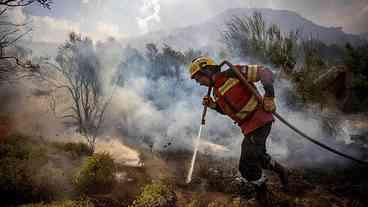 Incêndios devastam 60 mil hectares na Patagônia