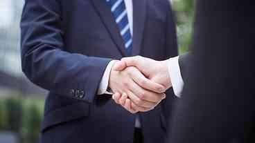 Jacaré, cobra d’água e porco espinho nas alianças eleitorais 