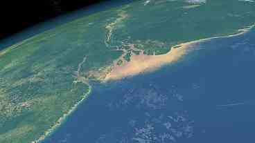 Vazamento de Fluido da Petrobras Impacta Fauna na Foz do Amazonas