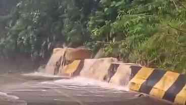 Chuvas Desalojam Mais de 300 Pessoas em Peruíbe