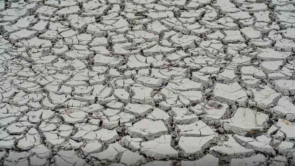 Estiagem leva 15 cidades a decretar emergência | Seca faz 15 municípios declararem situação de emergência