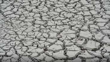 Estiagem em 15 cidades: Emergência decretada