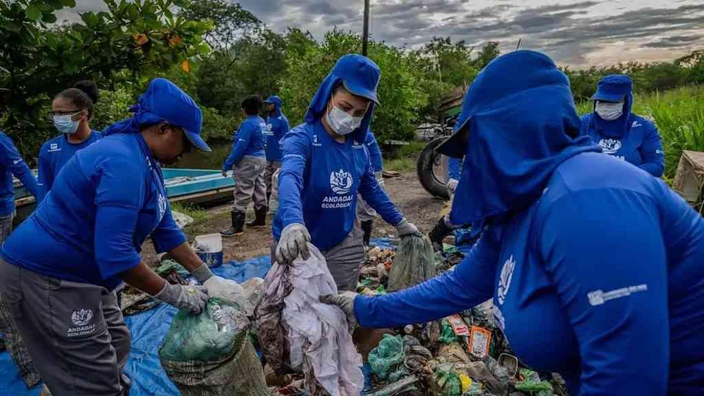 Mutirão retira lixo e recupera manguezais da Baía de Guanabara | Ação comunitária limpa manguezais e muda cenário da baía