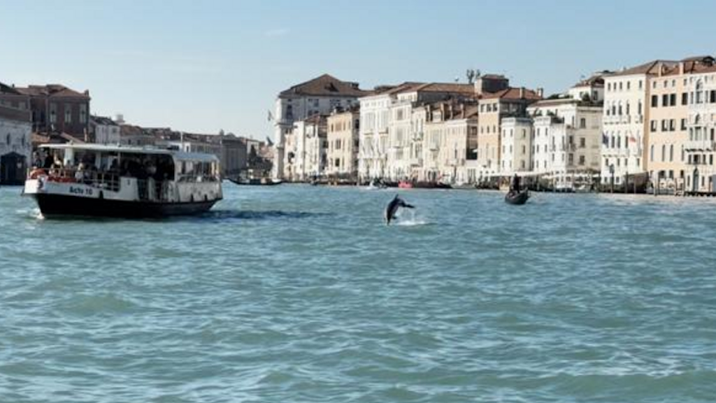 Veneza retoma sistema de reserva e taxa para turistas | Turistas deverão pagar taxa de 5 ou 10 euros para visitar Veneza a partir de 3 de abril