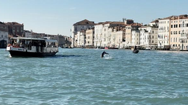 Veneza retoma taxa e reservas para turistas em 2024