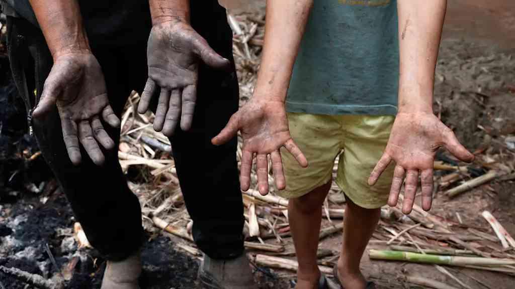Famílias tentam recomeçar um mês após chuvas em MG | Deslizamentos e enchentes deixaram 73 mortos na Zona da Mata Mineira