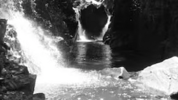 Parque Cunhambebe é Reserva da Biosfera da Unesco