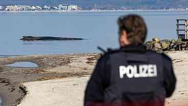 Alemanha resgata baleia encalhada no Mar Báltico