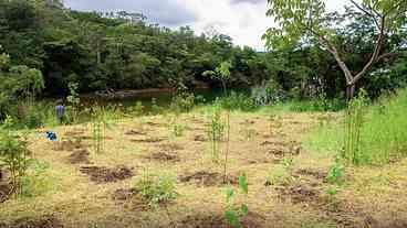 Parque da Serrinha e Riscos Ambientais em Brasília