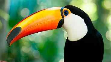 PT e PSDB buscam aliança em São Paulo