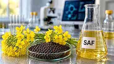 Setor de biocombustível pressiona por novo aumento na mistura ao diesel