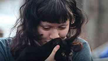 Prefeitura de SP oferece castração gratuita de cães e gatos