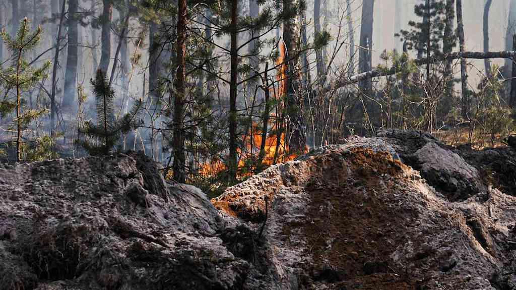 Incêndio em Chernobyl preocupa autoridades por risco radioativo | Incêndio foi controlado e reduzido a focos, que foram contidos