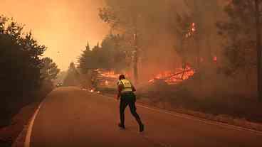 Incêndios Recordes e Calor Extremo: Cientistas Alertam