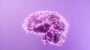 Sinais do Alzheimer Décadas Antes dos Sintomas