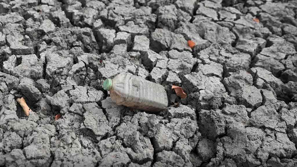 ONU alerta para calor extremo e pede preparação diante do El Niño | Evento climático trazer efeitos econômicos como inflação de alimentos