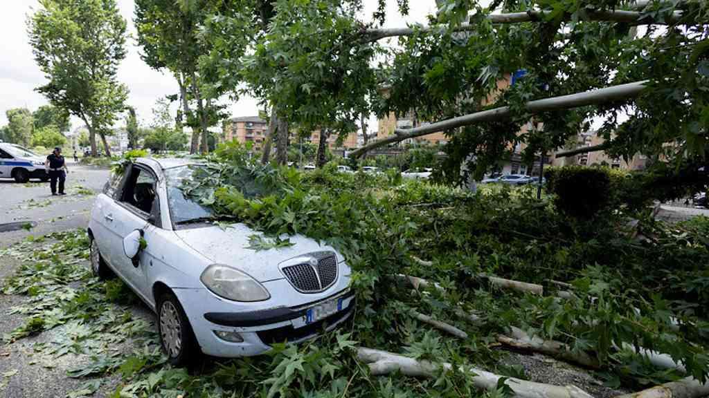 Tornado derruba árvores e paralisa trânsito em Roma | Queda de árvores provocaram transtornos na capital italiana