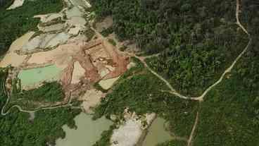 Ouro Ilegal e Devastação na Amazônia