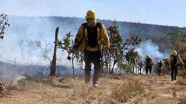Queimadas desafiam preparação do Brasil diante do El Niño