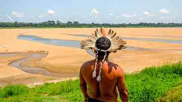 Floresta Amazônica ainda não se recuperou da última seca...