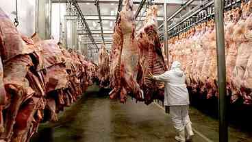 Tarifas da China sobre a carne bovina do Brasil causam...