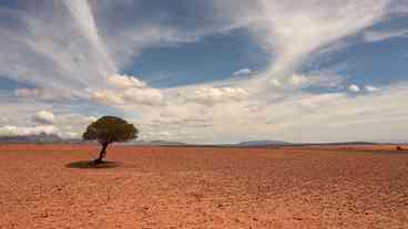 ONU alerta: El Niño pode agravar fome de quase 50 milhões