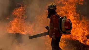 Mais de 60 incêndios em vegetação são registrados no DF