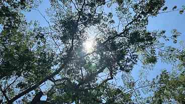 Calor retorna ao país após avanço de frente fria