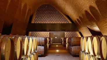 Vinícola italiana registra roubo recorde de vinhos