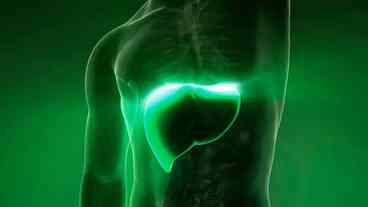 Gordura no fígado pode provocar diabetes tipo 2, diz estudo