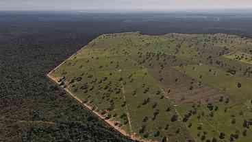 Quase 800 instituições condenam ‘esquartejamento ambiental’