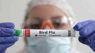 Rio de Janeiro registra terceiro caso de gripe aviária