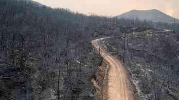 Gregos culpam imigrantes em maior incêndio da história da Europa