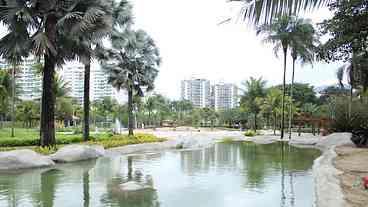 Rio 2 recebe a primeira edição do evento Conexão Mulher