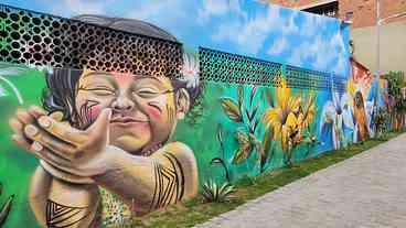 Mural de grafite colore área em Campo Grande