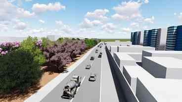 Avenida da Zona Norte terá corredor verde com árvores de oito espécies diferentes