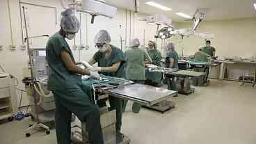 Vigilância Sanitária triplica número de castrações gratuitas de cães e gatos