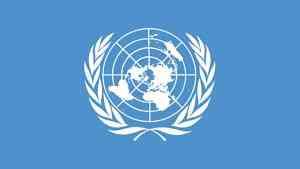 Peritos da ONU criticam lei francesa de segurança