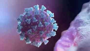 Pesquisa detecta nova variante em 91% dos casos no Amazonas