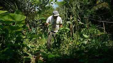 Quilombo no Rio de Janeiro integra o Programa de Aquisição de Alimentos