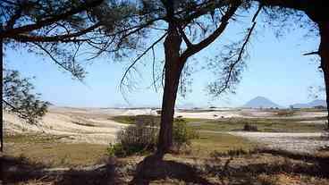 Decisão do STJ impede obra de resort em Restinga de Maricá