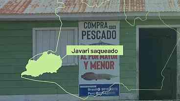 Javari: suposto mandante das mortes de Bruno e Dom mantém negócios ilegais