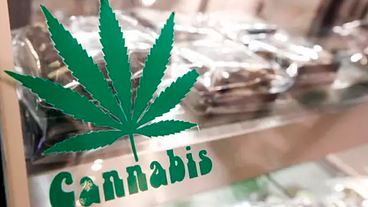 Tailândia legaliza plantio da maconha, mas consumo segue proibido