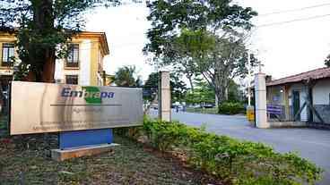 A Embrapa pelas veredas do negacionismo