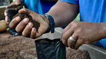 Projeto da Cedae representa o Brasil em premiação internacional de sustentabilidade