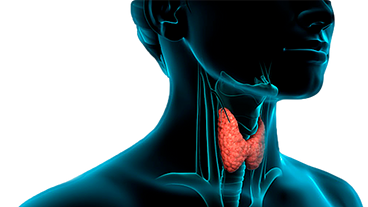 Campinas terá hospital para cirurgias de cabeça e pescoço