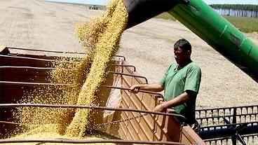 Enchentes no RS levaram à quebra na safra da soja, diz relatório