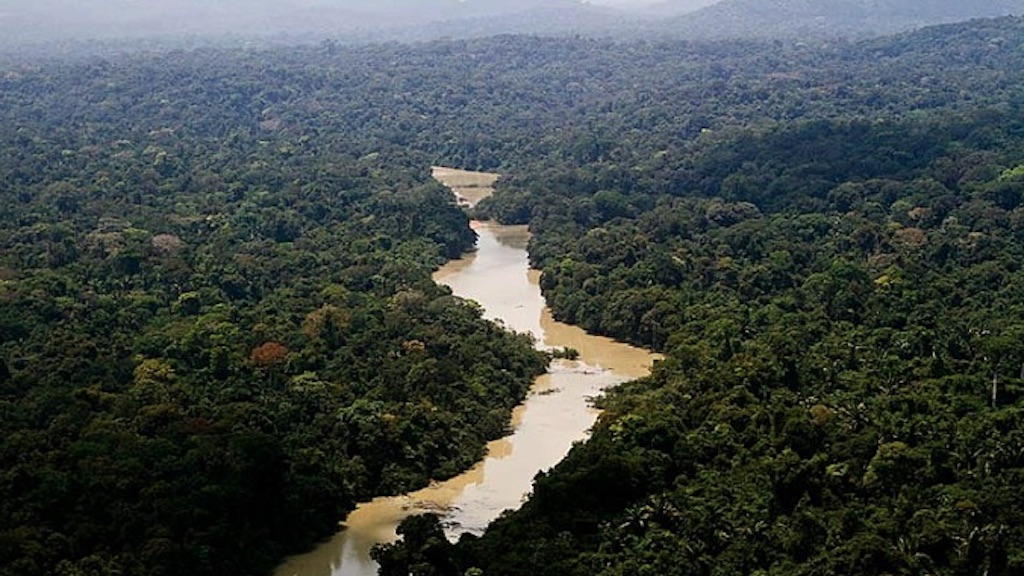 amazonia-1.jpg